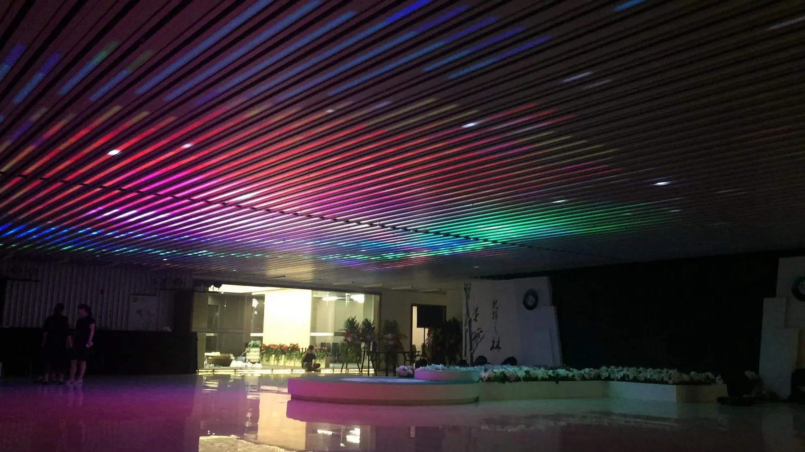 Dynamic neon ceiling, Shanghai